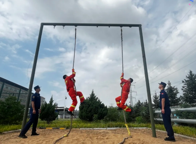 281756343781140407.png image.png