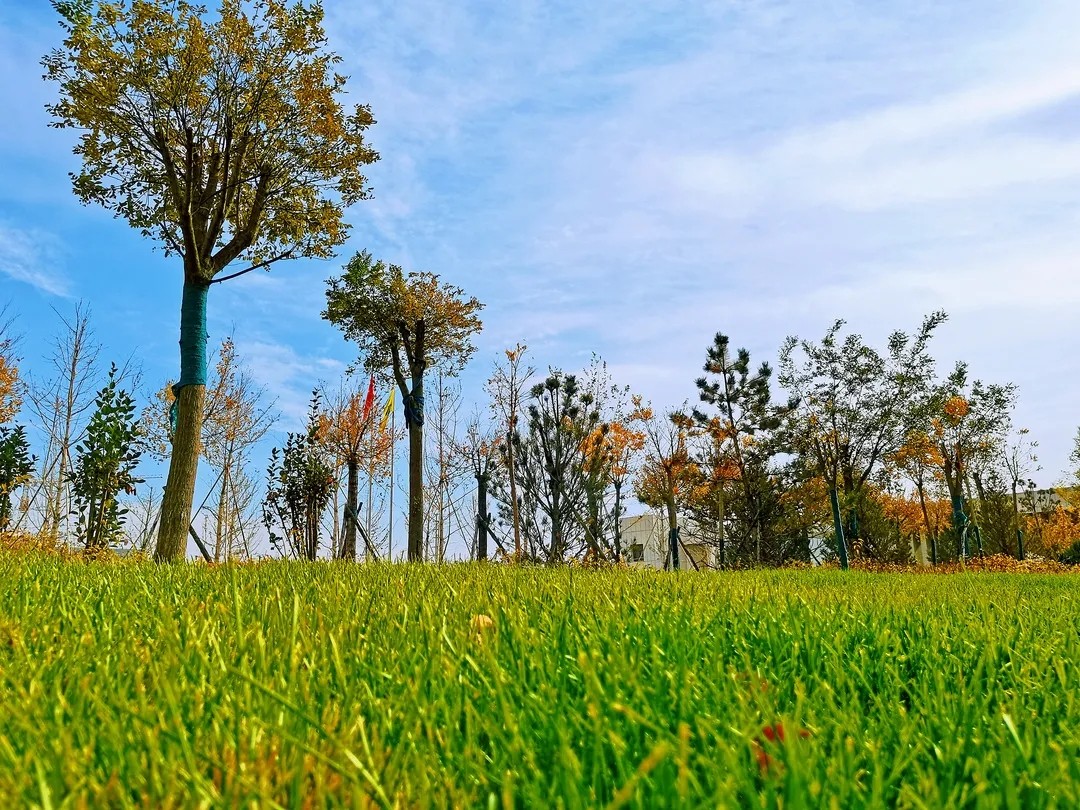 js3333������·��� - ��¼����