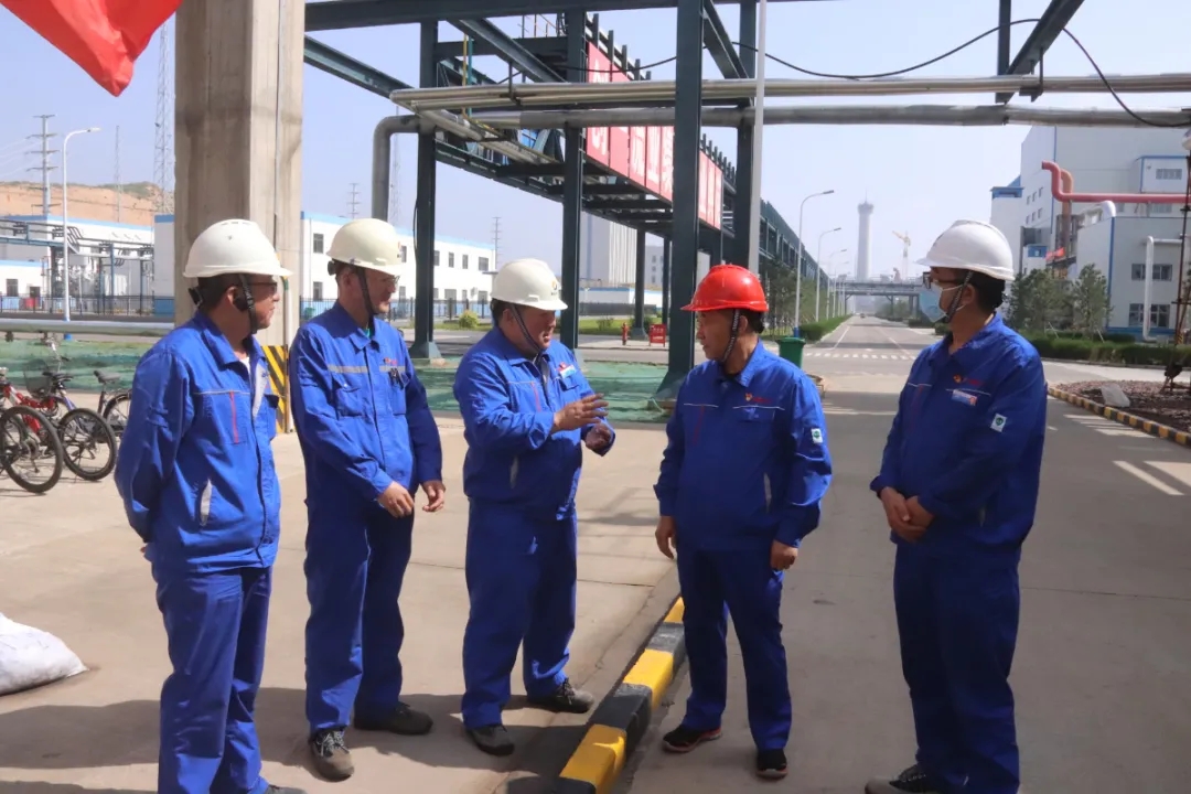 618243a8218e9.jpg 640 (6).webp (4).jpg